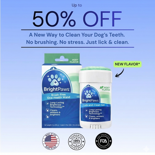 BrightPaws Twist & Lick Dog Brush